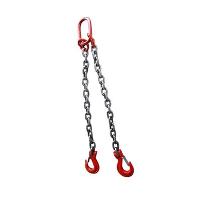 سعر جيد 8mm Black Finish G80 Alloy Steel Chain Sling with Two Legs for Lifting EN818-2 Durable الانترنت
