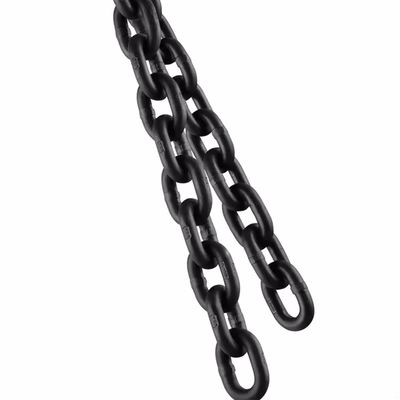 سعر جيد Professional Lifting Chain for Safe and Precise Weight Lifting Applications الانترنت